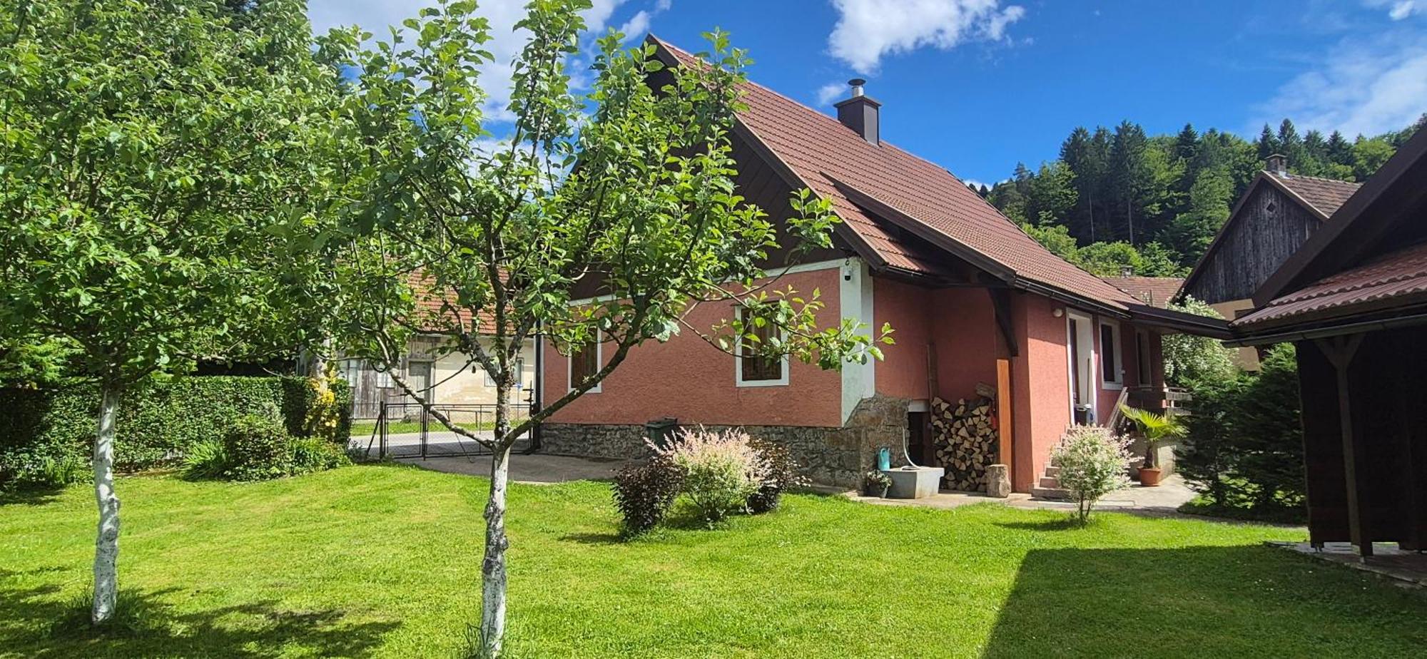 Villa Gorska Kuca Elin Brod na Kupi Exterior foto